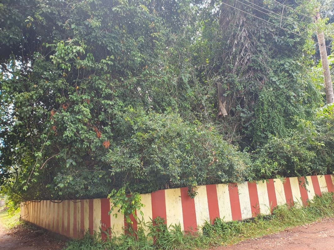 Mullakkott… Sreenagarukavu Devi Kshethrayogam