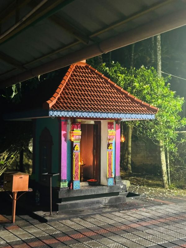 Photo 4